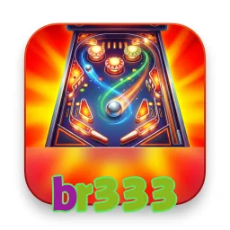 br333